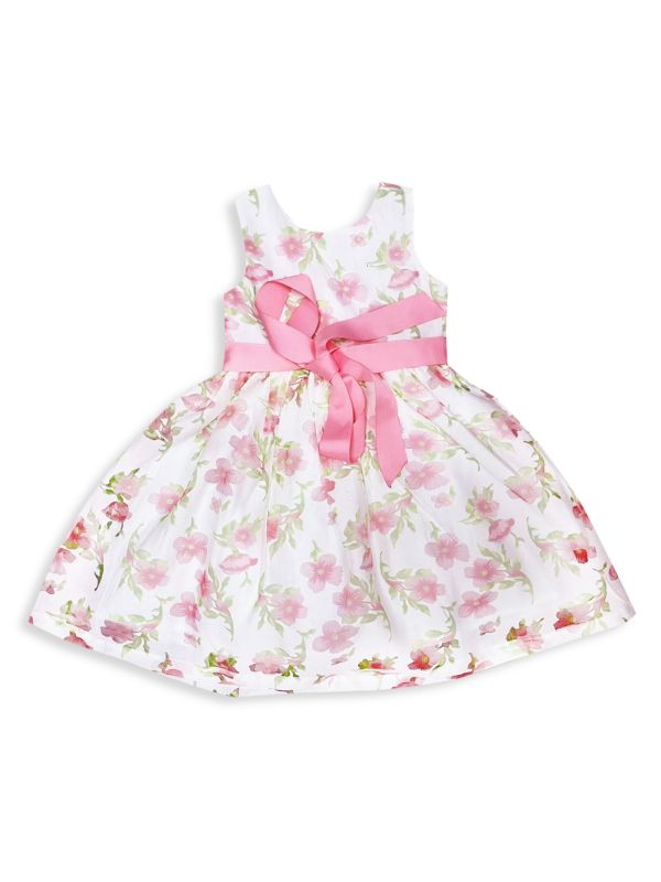 Joe-Ella Little Girl's & Girl's Floral Organza A Line Dress